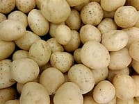 potatofresh